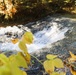 Fort McCoy's Trout Falls in Pine View Recreation Area