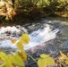 Fort McCoy's Trout Falls in Pine View Recreation Area