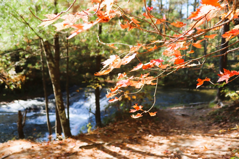 Fort McCoy's Trout Falls in Pine View Recreation Area