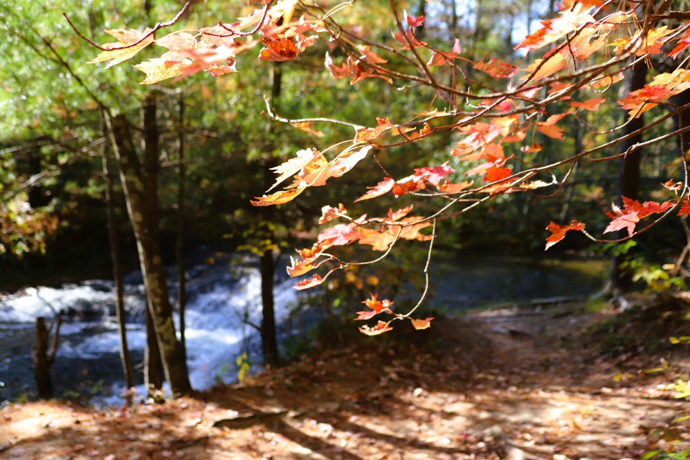 Fort McCoy's Trout Falls in Pine View Recreation Area