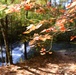 Fort McCoy's Trout Falls in Pine View Recreation Area