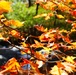 Fort McCoy's Trout Falls in Pine View Recreation Area