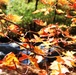 Fort McCoy's Trout Falls in Pine View Recreation Area