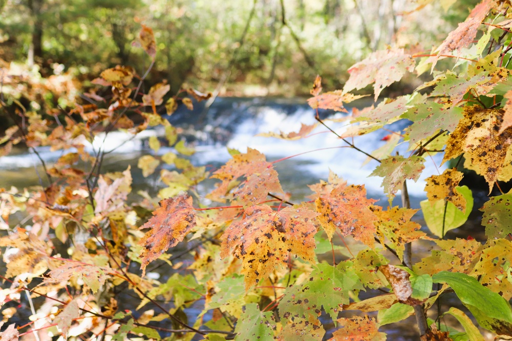 Fort McCoy's Trout Falls in Pine View Recreation Area