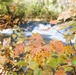 Fort McCoy's Trout Falls in Pine View Recreation Area