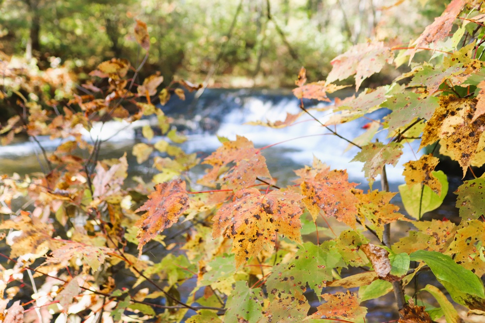 Fort McCoy's Trout Falls in Pine View Recreation Area