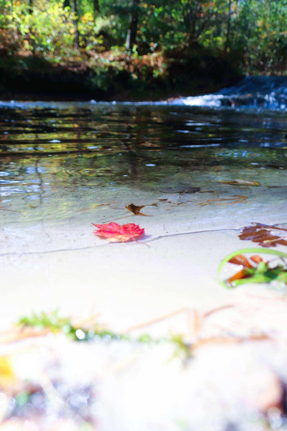 Fort McCoy's Trout Falls in Pine View Recreation Area