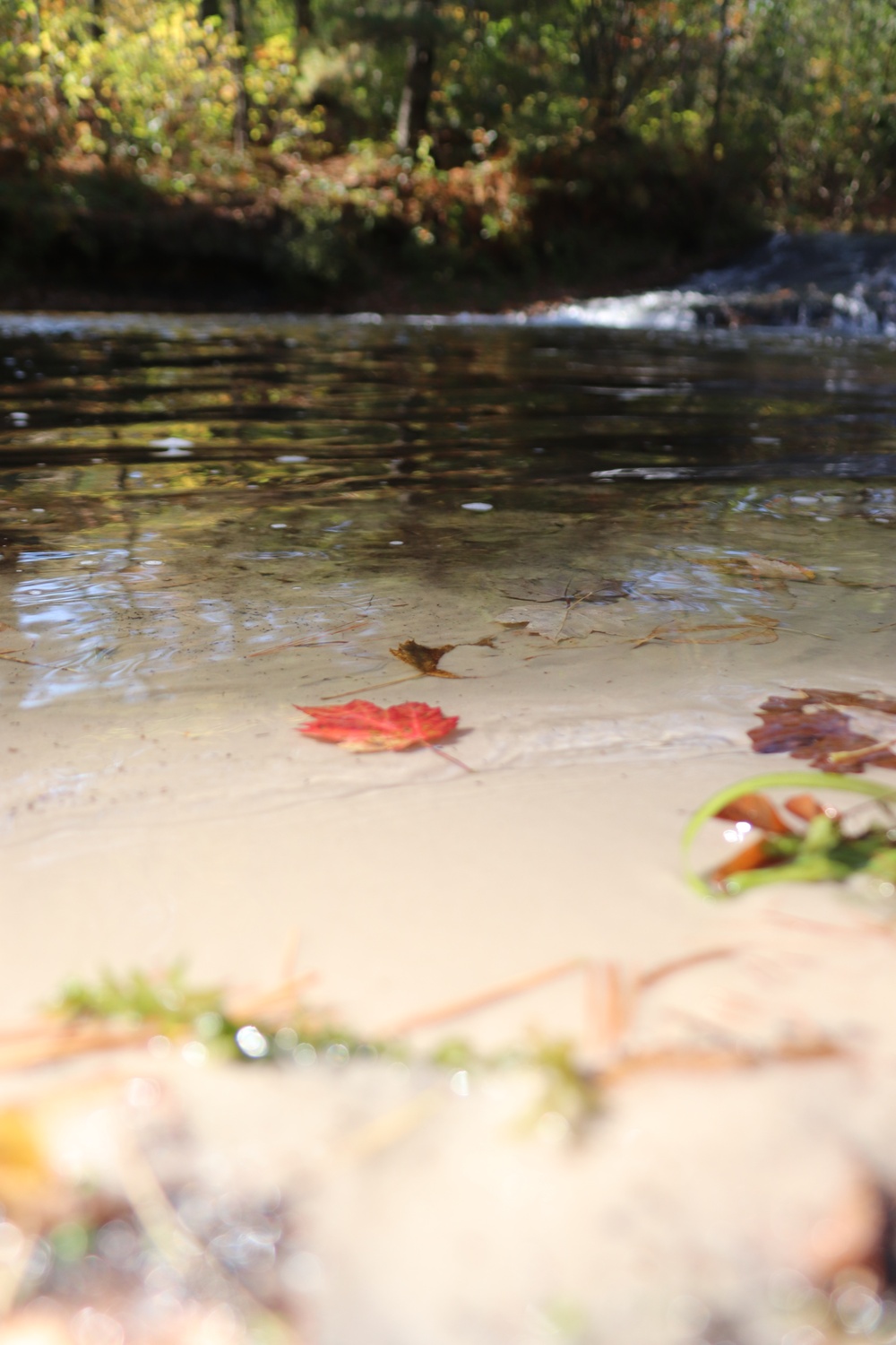 Fort McCoy's Trout Falls in Pine View Recreation Area