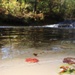 Fort McCoy's Trout Falls in Pine View Recreation Area