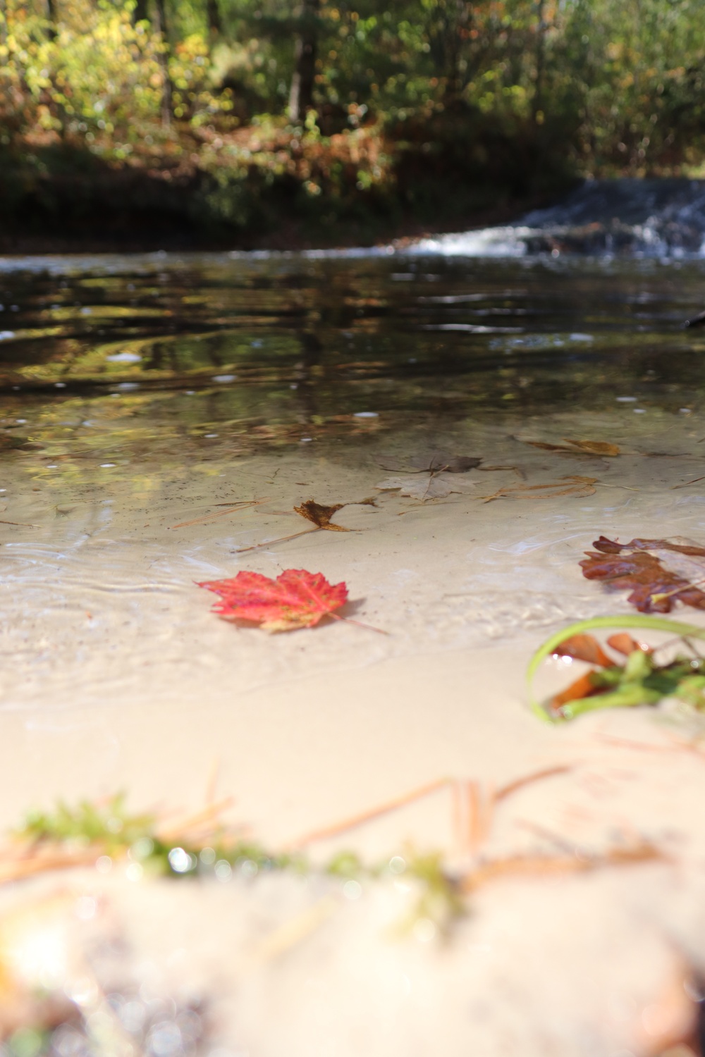 Fort McCoy's Trout Falls in Pine View Recreation Area