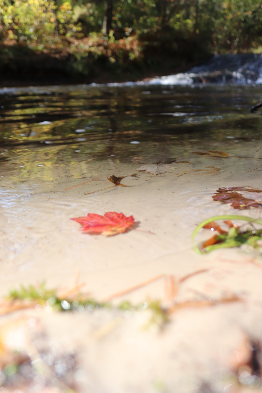 Fort McCoy's Trout Falls in Pine View Recreation Area