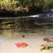 Fort McCoy's Trout Falls in Pine View Recreation Area