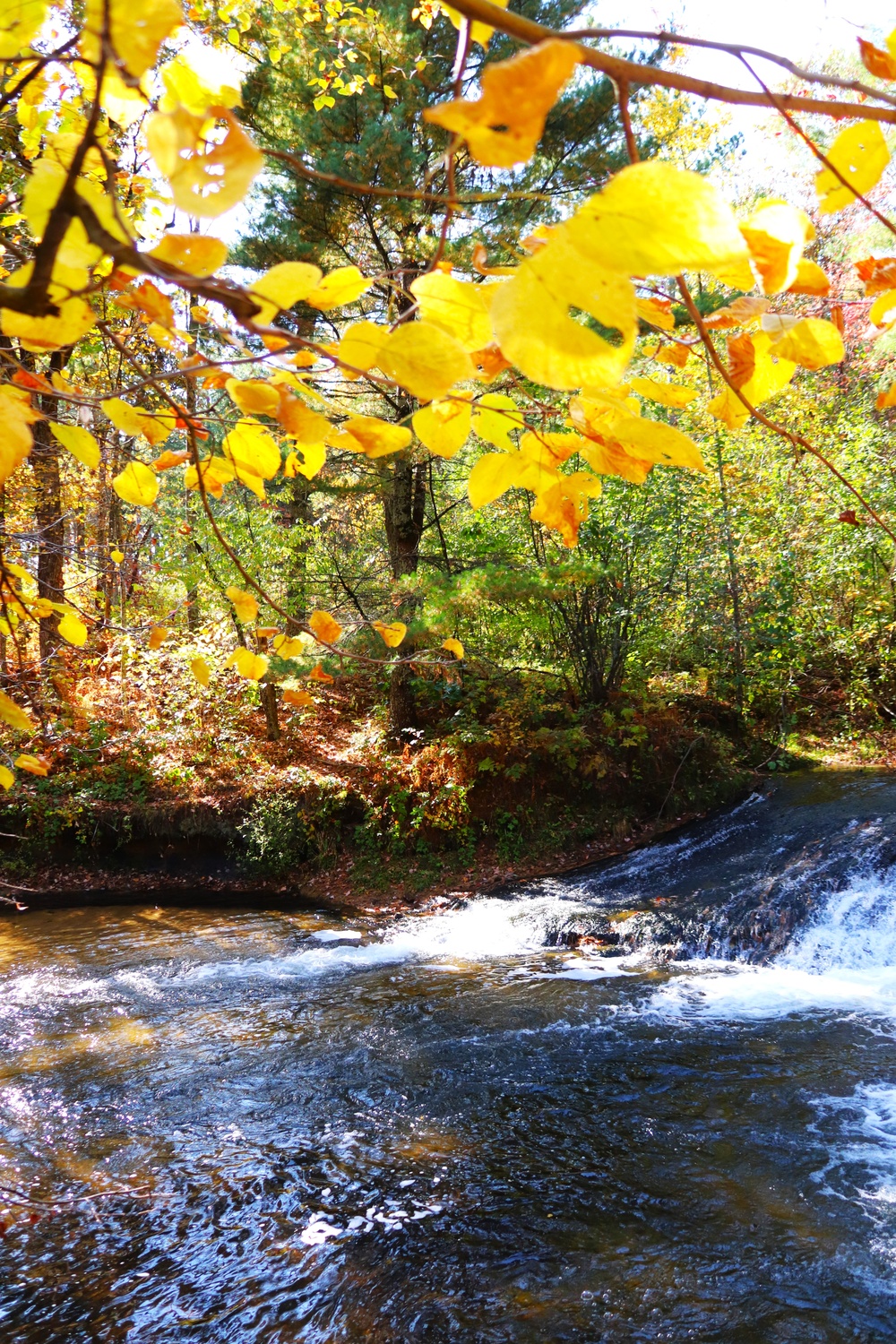 Fort McCoy's Trout Falls in Pine View Recreation Area