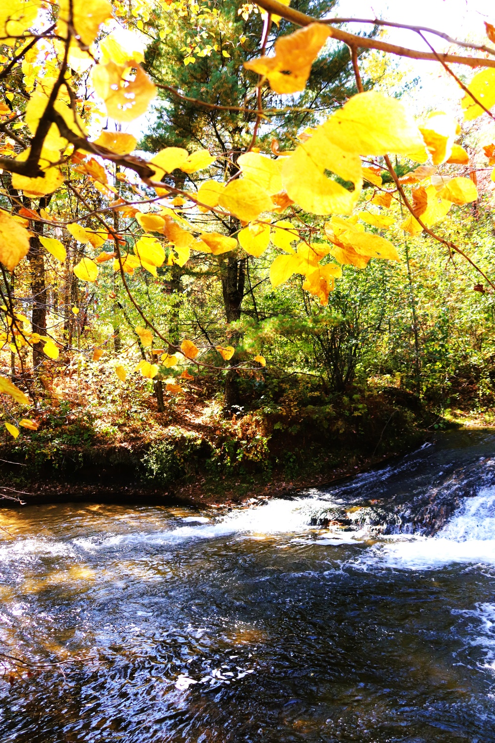 Fort McCoy's Trout Falls in Pine View Recreation Area