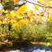 Fort McCoy's Trout Falls in Pine View Recreation Area