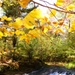 Fort McCoy's Trout Falls in Pine View Recreation Area