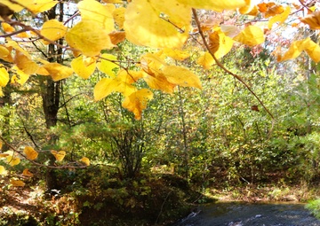 Try an autumn visit to Fort McCoy’s Pine View Campground, Pine View Recreation Area