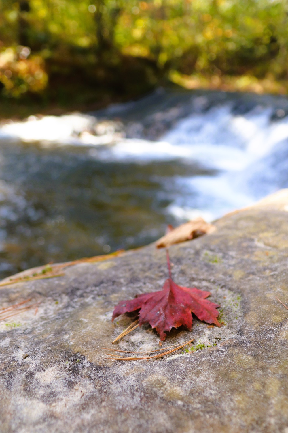 Fort McCoy's Trout Falls in Pine View Recreation Area