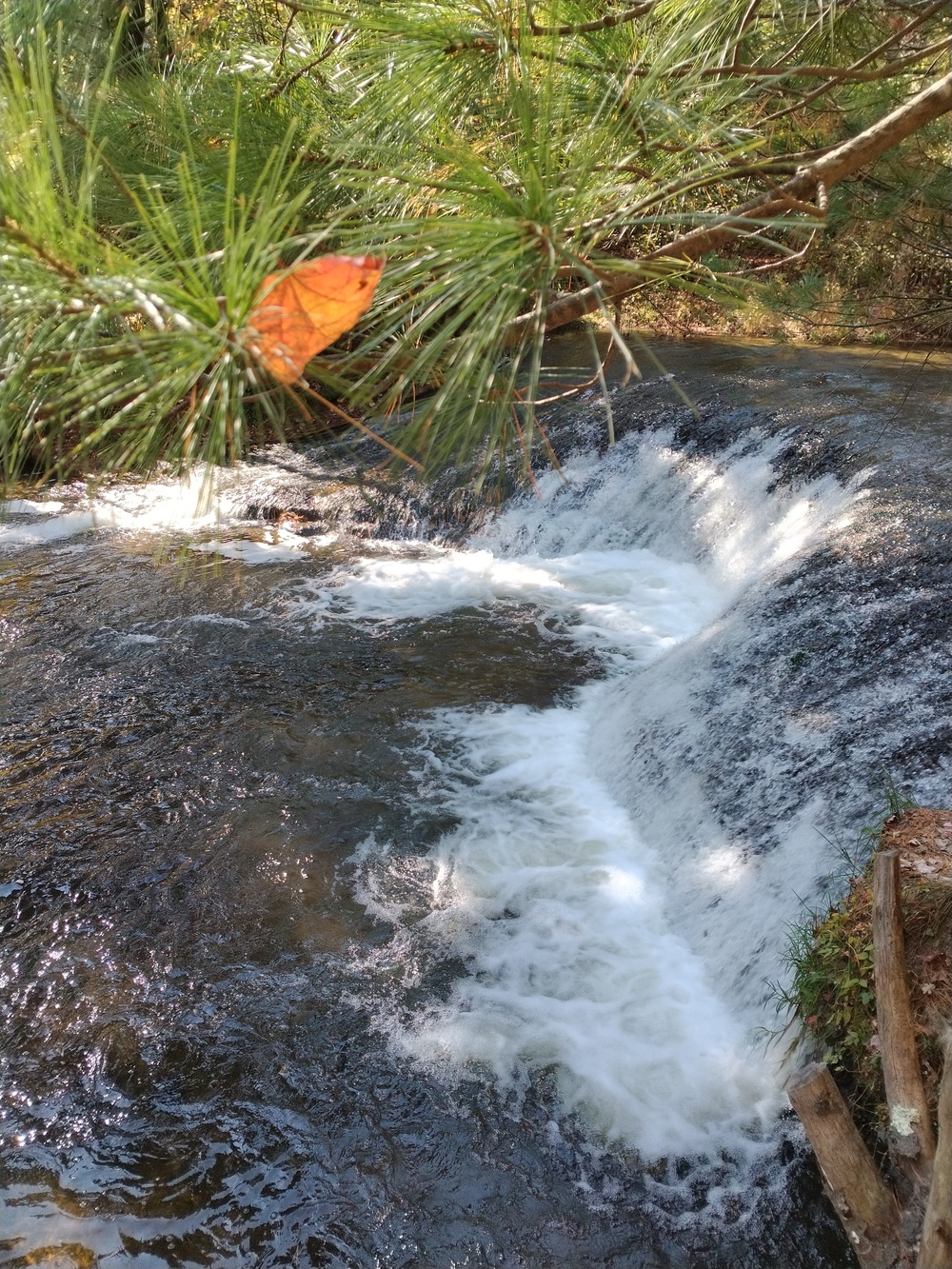 Fort McCoy's Trout Falls in Pine View Recreation Area