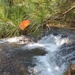 Fort McCoy's Trout Falls in Pine View Recreation Area