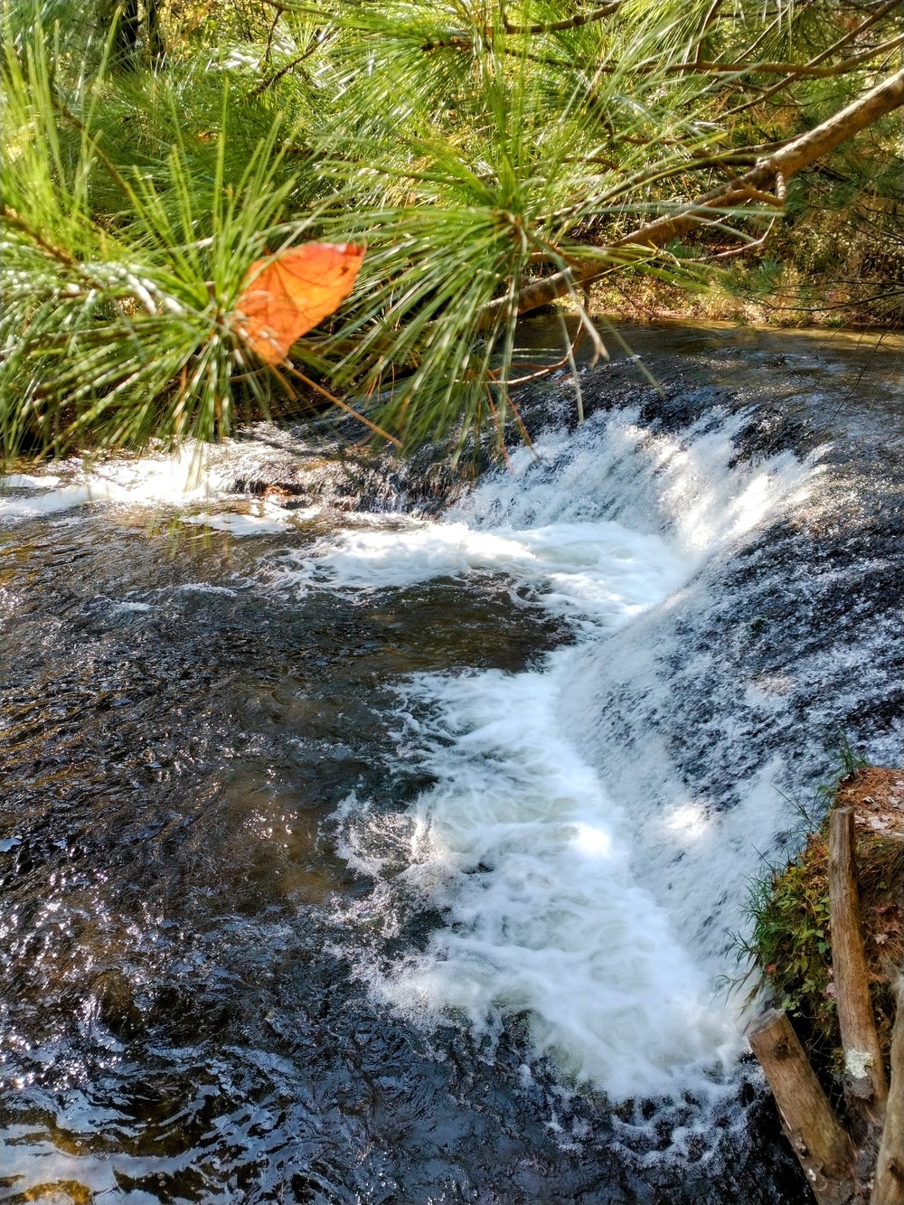 Fort McCoy's Trout Falls in Pine View Recreation Area