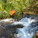 Fort McCoy's Trout Falls in Pine View Recreation Area