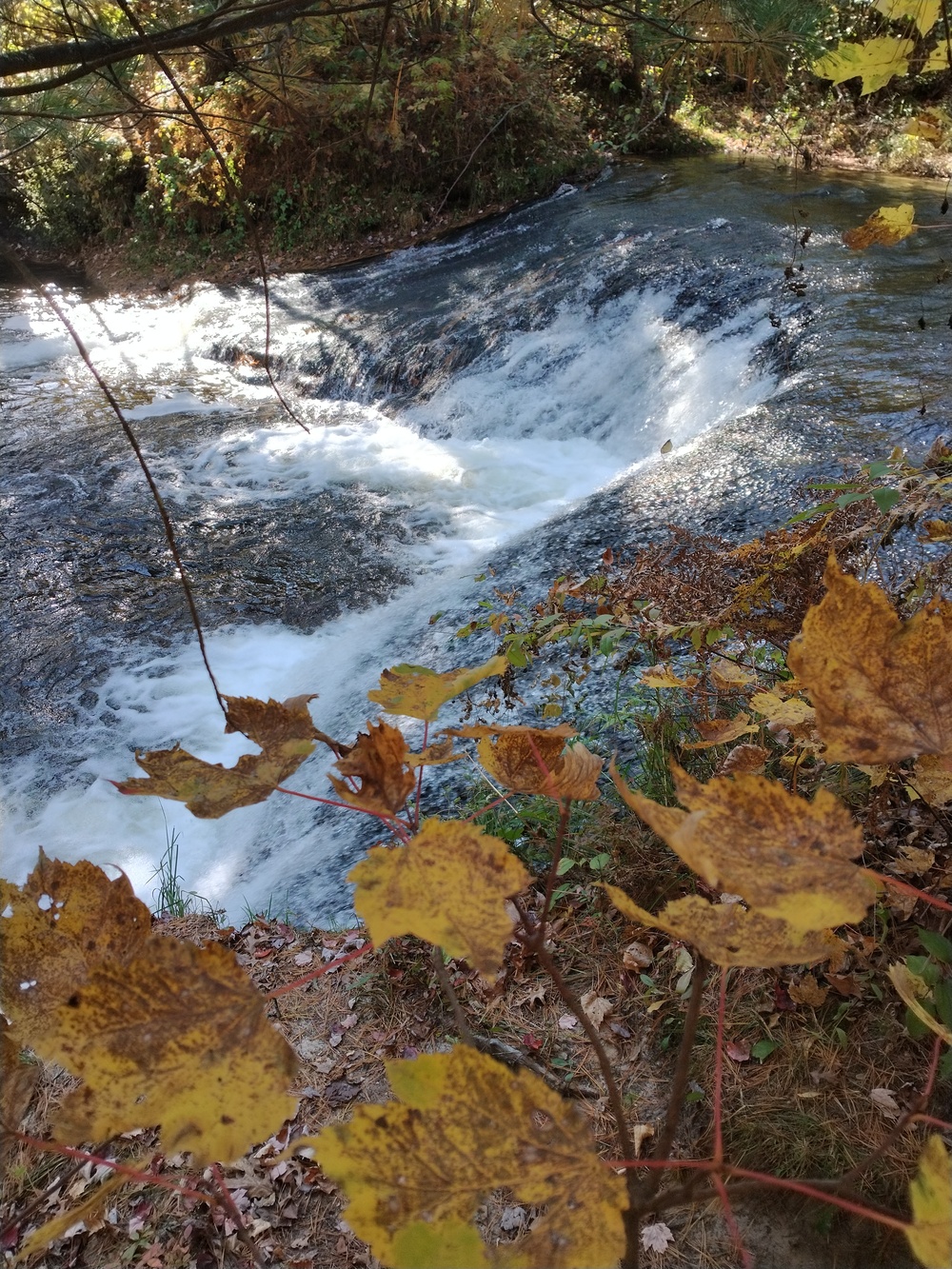 Fort McCoy's Trout Falls in Pine View Recreation Area