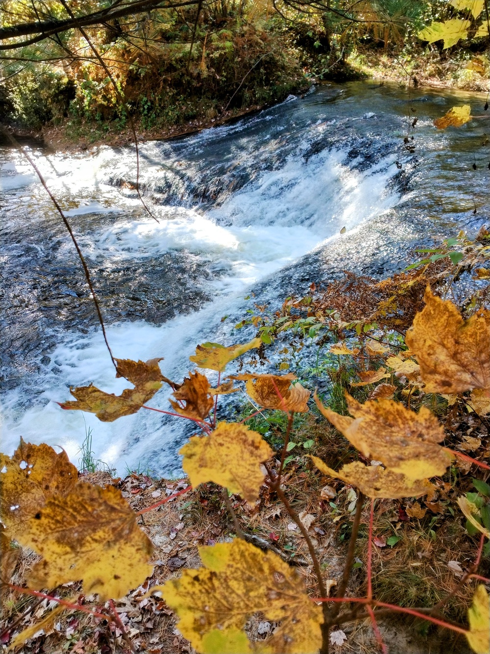 Fort McCoy's Trout Falls in Pine View Recreation Area