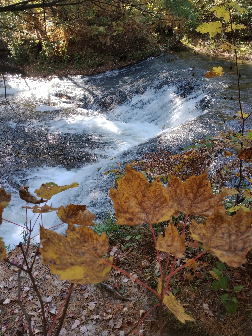 Fort McCoy's Trout Falls in Pine View Recreation Area