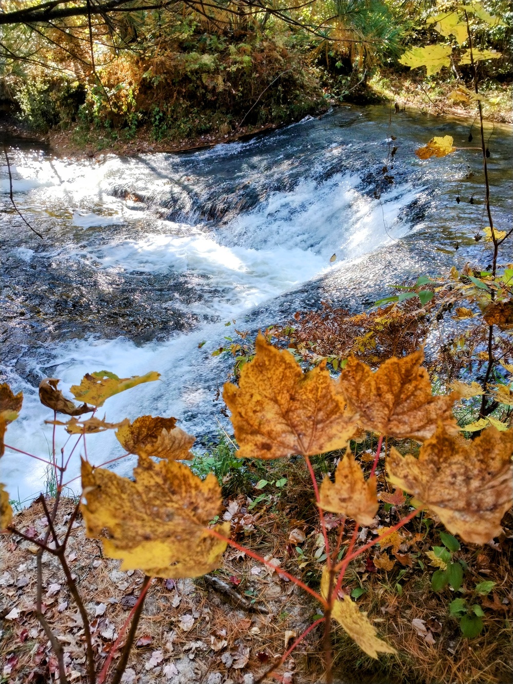 Fort McCoy's Trout Falls in Pine View Recreation Area