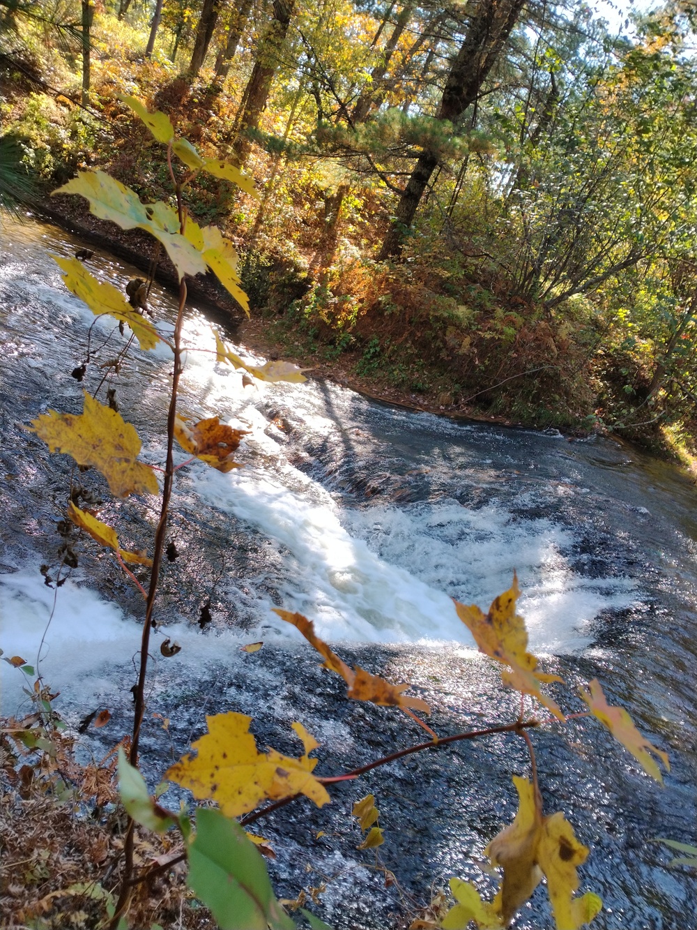 Fort McCoy's Trout Falls in Pine View Recreation Area