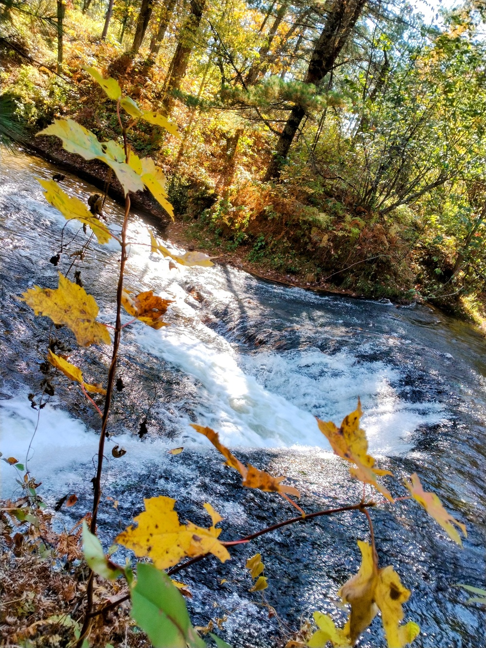 Fort McCoy's Trout Falls in Pine View Recreation Area