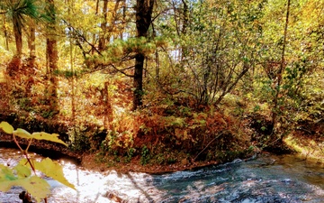 Photo Story: Fall 2024 views at Fort McCoy's Trout Falls in Pine View Recreation Area