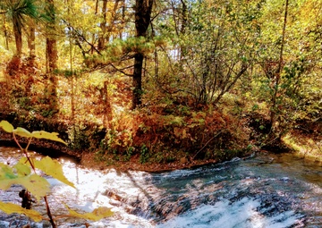 Photo Story: Fall 2024 views at Fort McCoy's Trout Falls in Pine View Recreation Area