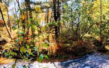 Fort McCoy's Trout Falls in Pine View Recreation Area