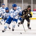 USAFA Hockey vs Lindenwood 2024