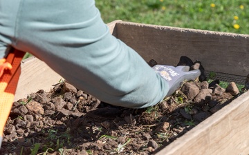 Archaeological dig unearths no new information