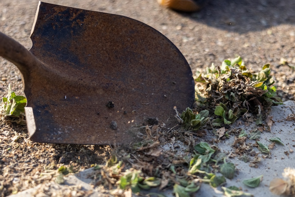 1st MARDIV Marines participate in Camp Pendleton’s Operation Clean Sweep