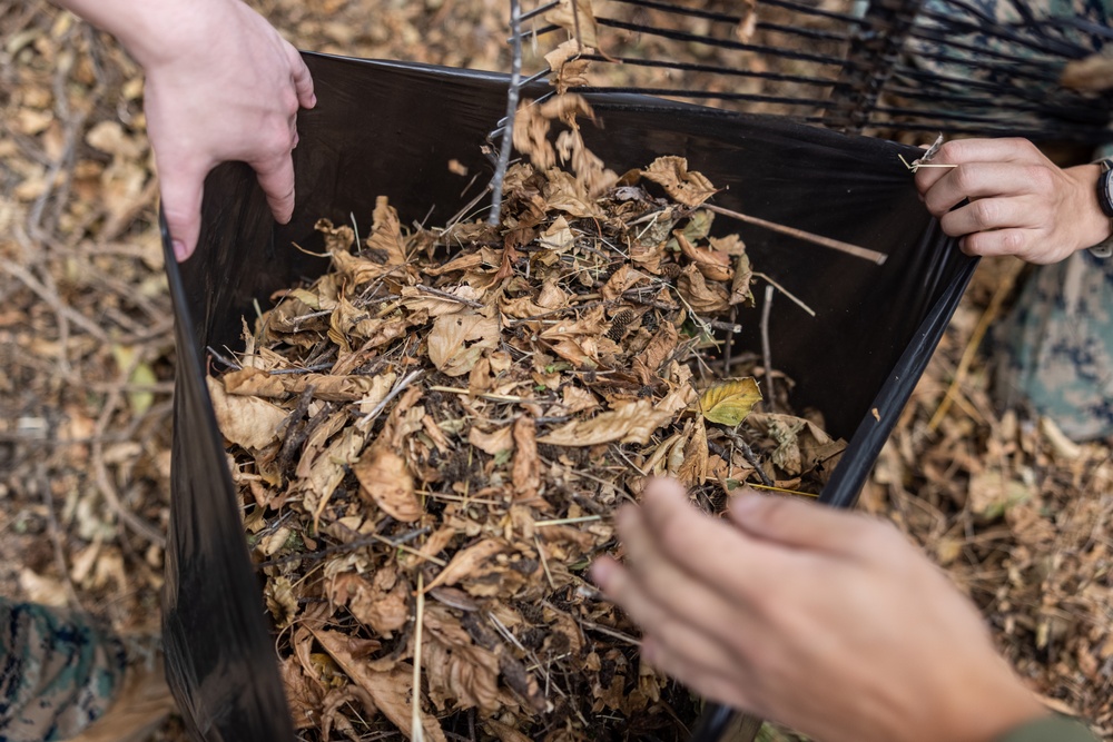 1st MARDIV Marines participate in Camp Pendleton’s Operation Clean Sweep