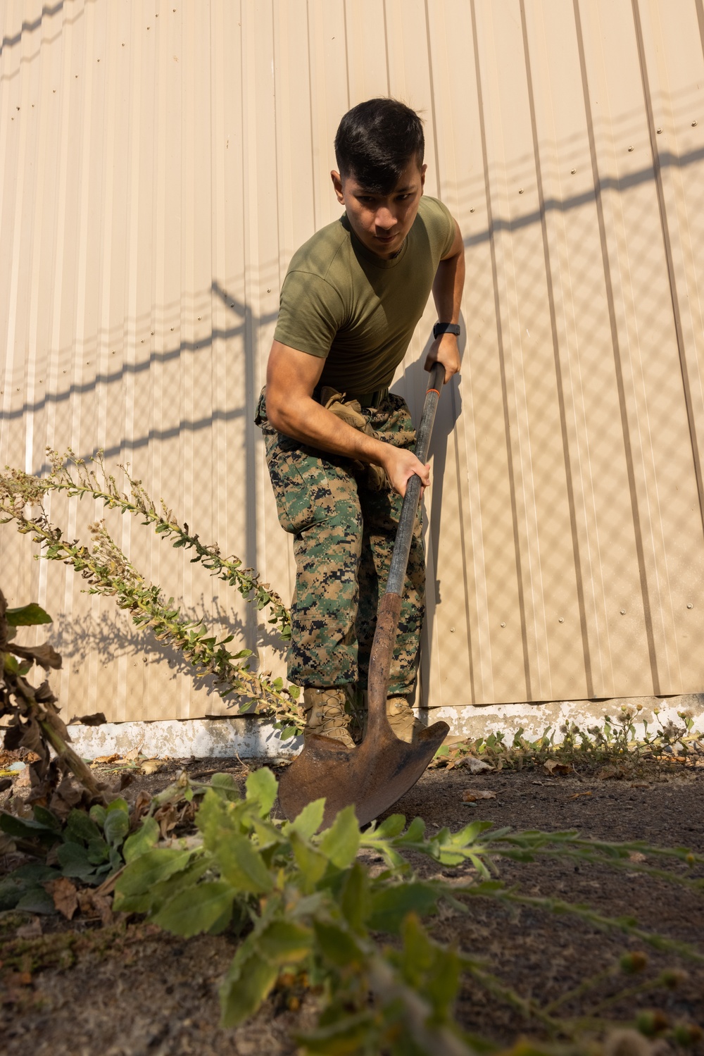 1st MARDIV Marines participate in Camp Pendleton’s Operation Clean Sweep