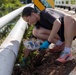 Navy Volunteers Clean Bike Path for Laulima Navy