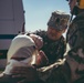 U.S. Army and NATO Allies Strengthen Crisis Response in Mass Casualty Exercise