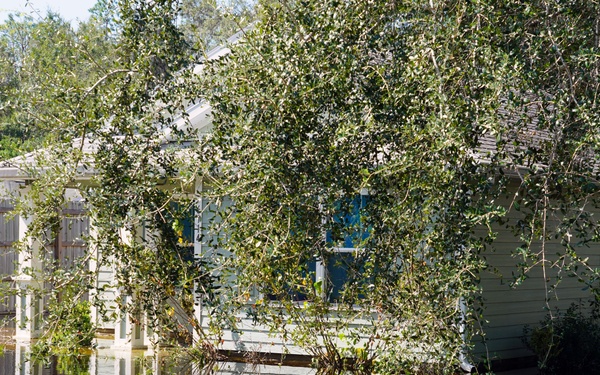 Flooding from Hurricane Milton