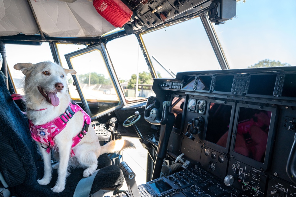 Luna Belle brings comfort to 403rd Wing