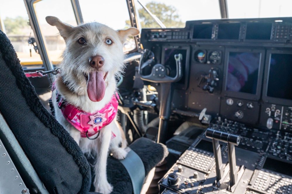 Luna Belle brings comfort to 403rd Wing