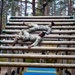 Air Assault Obstacle Course Grafenwoehr