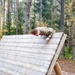 Air Assault Obstacle Course Grafenwoehr