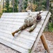 Air Assault Obstacle Course Grafenwoehr