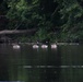 Nature walk