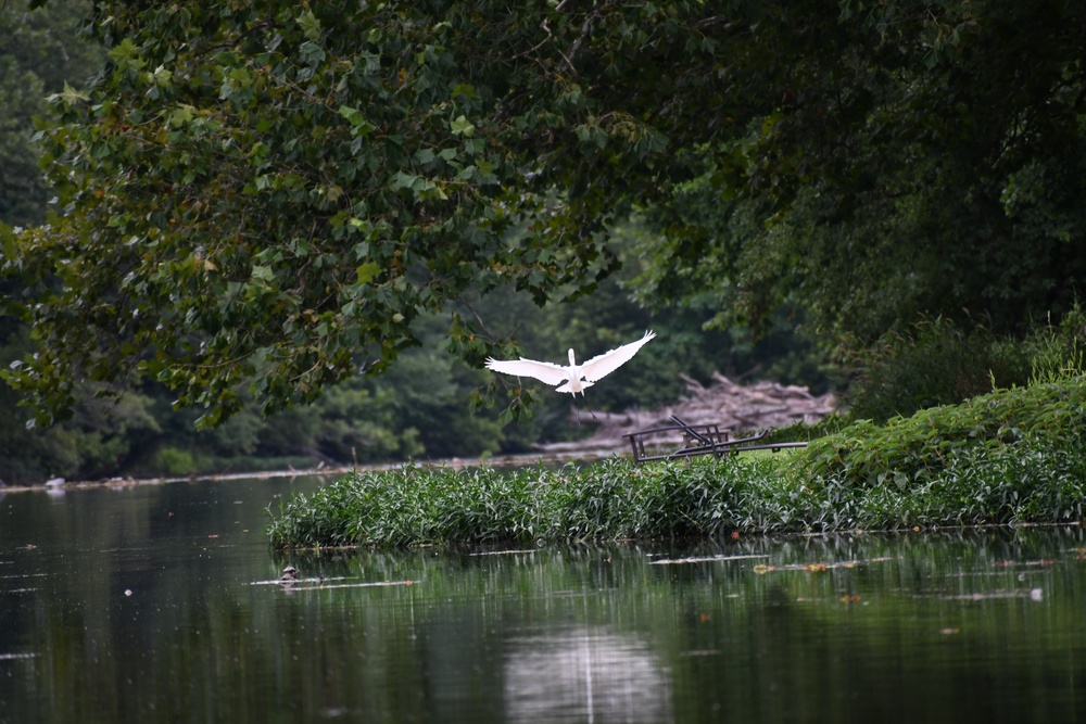 Nature walk